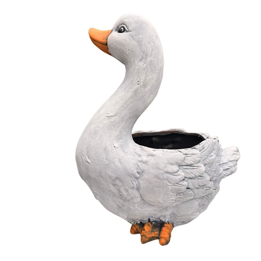Detailní pohled na husu Bělu